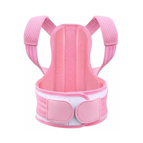 ZUIAI Cgn`obNp wƎႢw̔wA[eBt@Ng(XL)