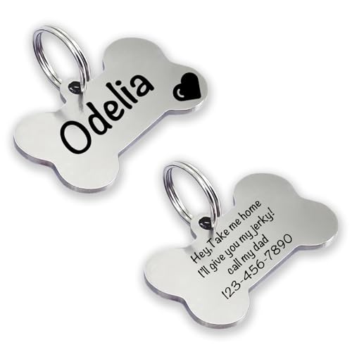 Chapa Identificativa Perro, Placa Perro Personalizada, Chapa Perro Grabada, Ideal para Grabar su Nombre y tu Contacto, Chapa para Perro y Gato Medianos a Grandes (plata)