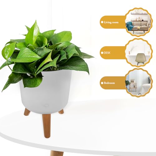 Pot à fleurs d'intérieur blanc moyen avec support bois et indicateur d'eau - 5