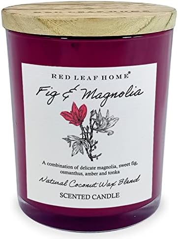 Red Leaf Home | Fig and Magnolia Jar Candle | Wooden Lid, Large | Aromatherapy | Botanical Collection | 15.5oz