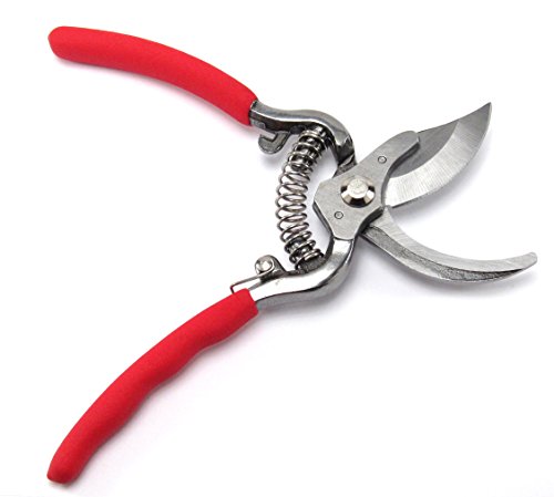 Elitexion Professional Heavy Duty Forged Bypass Pruning Shears, Garden Clippers, Hand Pruner Size 6 and 8 inches (Pack of 2)
