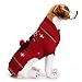 Eyxia- Pet Master Camisa de perro suéter Rudolph el reno sospechado rojo suéter del animal doméstico del gato ropa de vacaciones de invierno suéter de peluche del caniche de otoño ropa de invierno rop