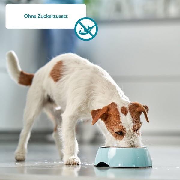 ZooRoyal Hund Saftige Würstchen 6x60g hundensnack trockenfutter tiernahrung hundfutter