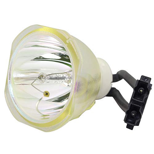 Lytio Economy for Dell 310-4523 Projector Lamp (Bulb Only) 310 4523