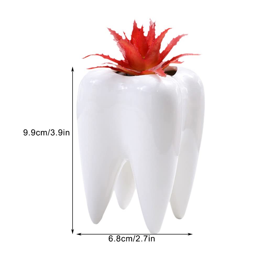 MONMOB Keramik-Zahnförmiger Blumentopf – Süßer Sukkulenten-Halter Für Zuhause, Büro Oder Als Geschenk (15,2 Cm)