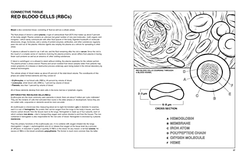 The Human Body Coloring Book: From Cells to Systems and Beyond (Coloring Concepts) - Image 3
