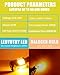 LEDYOTRY 7507 BAU15S PY21W LED Bulbs Super Bright Amber Yellow 4000 Lumen for Turn Signal Lights, Built in Resistor CANBUS Error Free 12496 2641A 7507AST LED Bulb Replacement (Pack of 2)