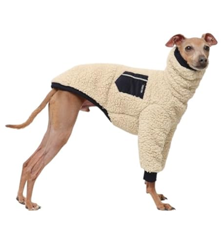 D DOGGY STAR C^O {A |Pbg t[X  TVc ^ ^ ^ H ~ hbM[X^[ (lCr[, S)