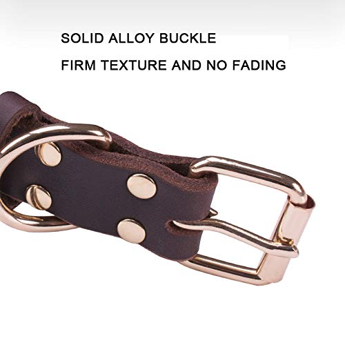 様確認ハスキー ラブラドール 龍 様確認ハスキーラブラドール龍