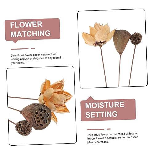 Arreglo de flor de loto seca para decoración zen miniatura 7