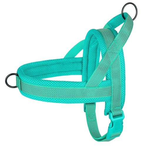 vtNeBue[vNCbNRg[nhʋCbViChbOn[lXxXgShiba Inu Labrador Bulldog,,l