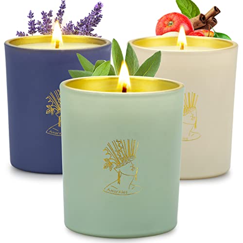 Top 10 Scented Long Lasting Candles of 2022 Katynel