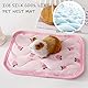 TYXHXTF 3 Stück Kleintier-Bettmatte, Meerschweinchen Bett Weich und Bequem, Haustier Kühlmatte Kühldecke für Sommer, Für Kaninchen, Chinchilla, Eichhörnchen, Meerschweinchen