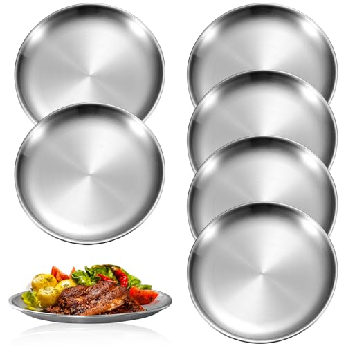 RTSHUK 6 Stück Edelstahl Teller, Edelstahlrundes Geschirr 20 cm...