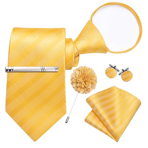 Image of DiBanGu Silk Pre-tied Ties for Men Formal Adjustable Necktie Set