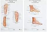 Piccin-Nuova Libraria
