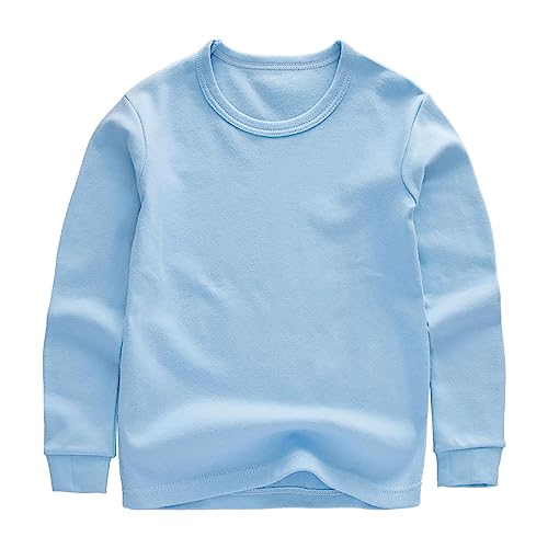 Toddler Kids Girls Boys Long Sleeve Solid T Shirt Baby Crewneck Tee Tops Soft Plain Pullover Classic (Blue, 2-3 Years)