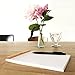 Rhodia Notepad, No16 A5, Squared - Orange