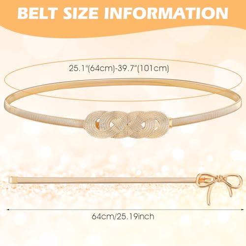 2pcs Gold Waist Chain Belt for Women,Elastic Pendant Chains Belt,Metal Thin Versatile Chain Dress Belts2