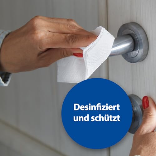 Bactazol Desinfektionsmittel 250ml - Enthält Isopropanol - Desinfektionsspray für Mensch, Haushalt & Tierumgebung - Desinfektionsmittel für Hände - Als Handdesinfektionsmittel geeignet