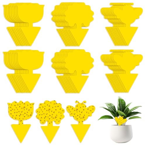 AiQInu 60 Stück Gelbsticker Trauermücken Bekämpfen, Fliegenfalle, Fruchtfliegenfalle, Ideale Gelbe Teller für Topfpflanzen gegen Mücken, Blattläuse, Blattfliegen, Balkon, Garten, Innenbe