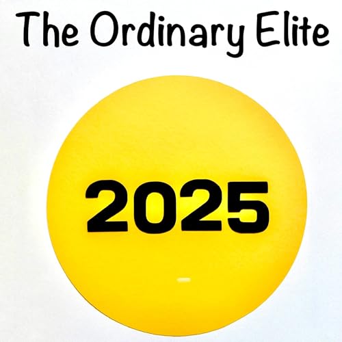 The Ordinary Elite - E13 - The Year in Review