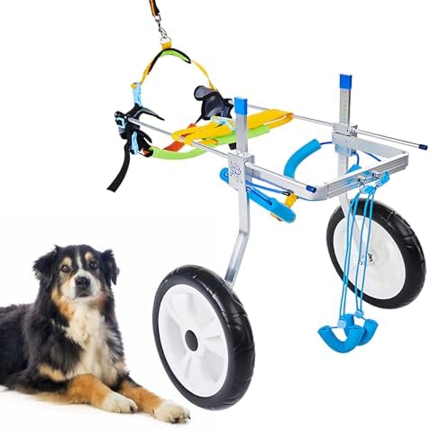 Dog Wheelchair for Back Legs, Pup Powered Wheels Adjustable Light Weight Easy Assemble Animal Exercise Wheels (Medium)