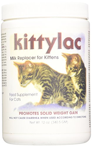 Kenic Kittylac Milk Replacer For Kittens, 12-Ounce #TOP6