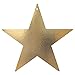Amscan Gold Star Cutouts | 3.50"| Pack of 12 | Party Decor - 19976.19