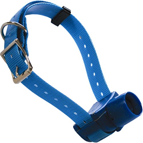 NUM'AXES 01839809 Collar Canibeep Radio Pro Azul