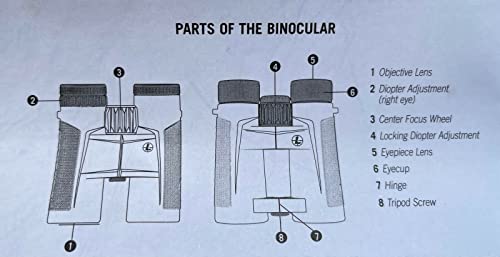 Leupold Rainier Hd 10X42Mm Binoculars Black #TOP6