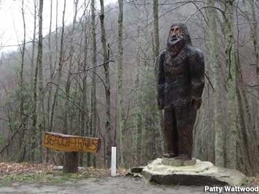 『Bigfoot A venture』のカバーアート