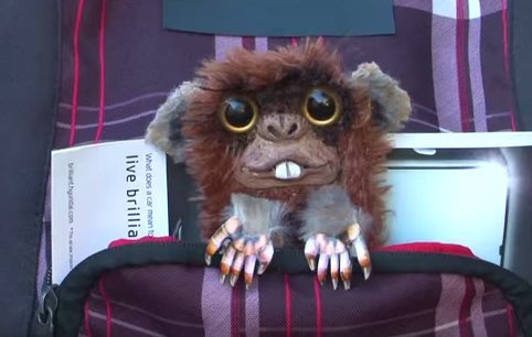 shermer academy boys in toyland ブレスレット shermer academy boys in toyland ブレスレット shermer academy boys