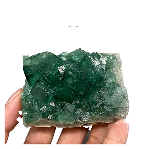 Vert fluorite spécimen minéral de collection authentique JCAKES
