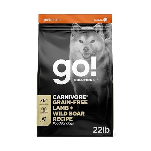 Go! Solutions Carnivore Lamb + Wild Boar Grain-Free Dry Dog Food, Our Highest-Protein Kibble Made with Real Meat, Pumpkin & Probiotics for Good Digestion, for Puppies, Adults & Seniors, 22 lb Bag