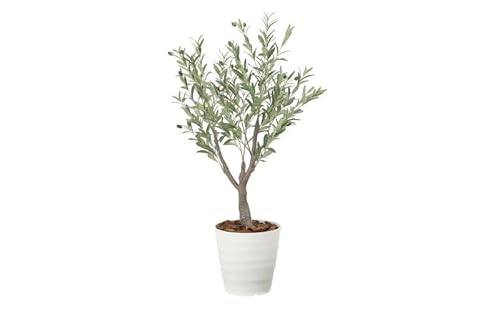 光の楽園 デラックスオリーブ1.2[配送不可:北海道・沖縄・離島] インテリア 光触媒 人工植物 造花 フェイクグリーン 花 フラワー 清浄 消臭 浜松市