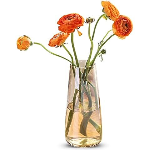 PIPIHUA Lead-Free Glass Vase, Crystal Vases for Pampas Grass, Decorative Gift for Living Room/Office/Dining Table, Height 22 cm (Amber Gold) Cover