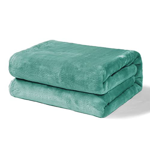 Image of Exclusivo Mezcla Soft Fleece Baby Blanket for Toddler, Swaddle Blankets for Crib Bedding, Nursery and Security (30x40 inches, Celadon)
