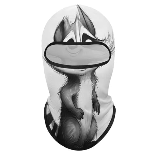 Balaclava Mask for Men Ski Mask for Women Raccoon Painting Full Face Mask Face Cover for Cycling, 1, Style