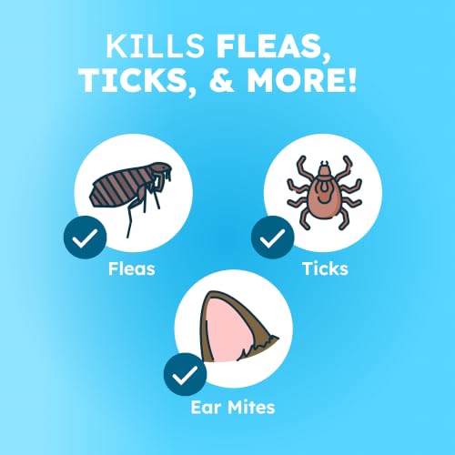 Image of BugMD Flea and Tick Spray for Dogs and Cats - Kills & Repels on Contact - Plant-Powered Flea Treatment for Home, Furniture & Carpet | Makes 32 oz
