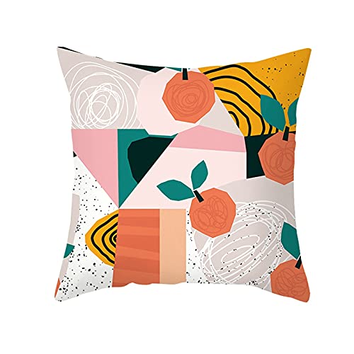 Daesar Housse Coussin Deco Canape, Coussin Canape 40x40 Corail Orange Bleu Lot Taie d'oreiller Fruit Geometrique, Polyester