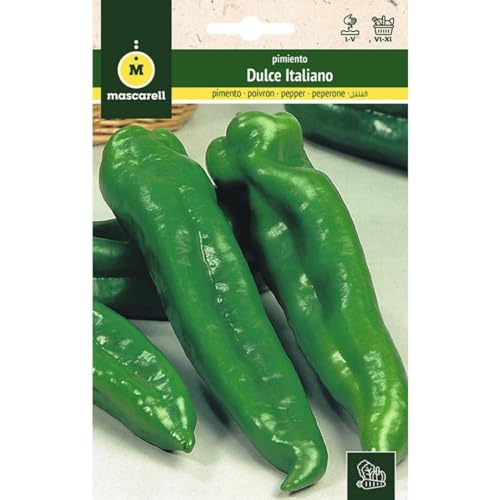 Mascarell Semillas, PIMIENTO, Semillas Huerto, PIMIENTO DULCE ITALIANO, Crea tu Propio Huerto Urbano y Cultivo en Casa, Plantas Hortícolas, 1 Gramos