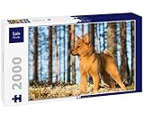 Lais Puzzle Finnenspitz 2000 Teile