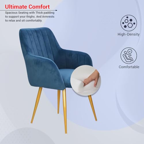Image of Taboo Velvet Dining Chair Set of 2 | Upholstered Accent Arm Chairs | Soft Cushioned Seat with Backrest | Modern Velvet Fabric Chairs with Metal Legs | Living Room, Bedroom, Cafe & Restaurant| NavyBlue