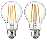 Leo's Light