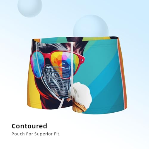 Boys' Cotton Boxer Brief Soft Underwear-Rainbow Bulldog Sunglasses4