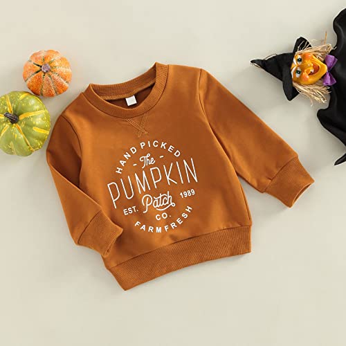Toddler Baby Boys Girls Halloween Sweatshirt Pumpkin Crewneck Sweater Shirt Kids Fall Halloween Matching Clothes3