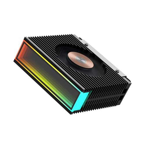 M.2 2280 ARGB Hard Drive Heatsink PWM Dual Fan Solid State Drive Radiator M2 SSD Cooling 5V 3Pin Addressable RGB Sync SSD Cooler with Thermal Pad (Black)