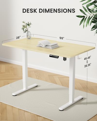 image for ErGear Height Adjustable Electric Standing Desk, 55 x 28 Inches Sit St