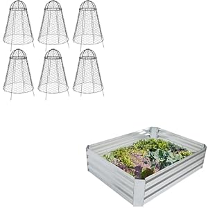 Sunnydaze 48″ W x 36″ D x 12″ H Silver Galvanized Raised Garden Bed and 6-Pack Chicken Wire Plant Protector Cages